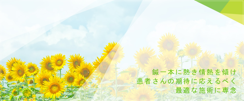 山口鍼灸整骨院