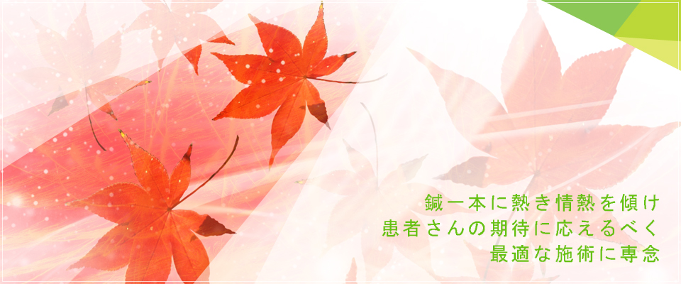 山口鍼灸整骨院